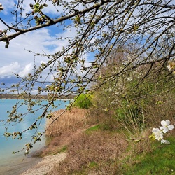 Baggersee